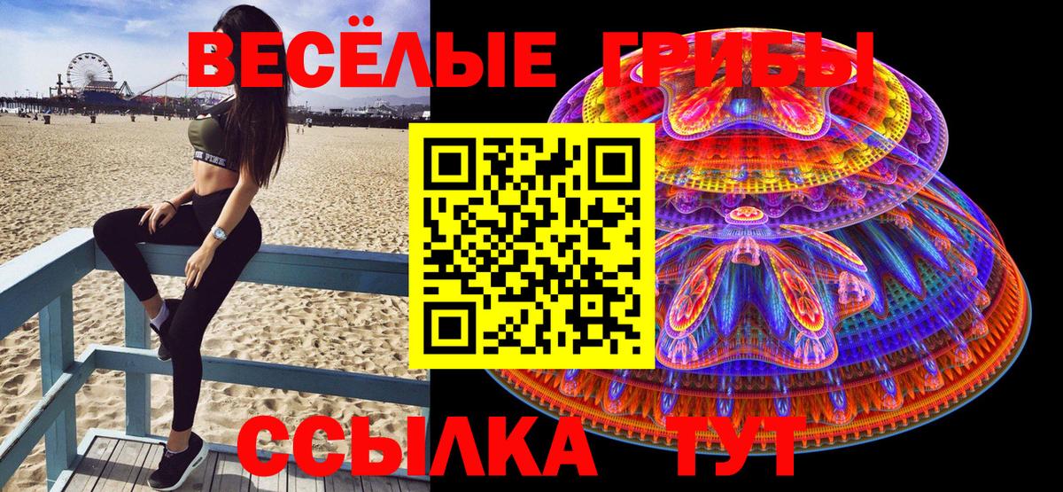 Псилоцибиновые грибы мицелий Углич